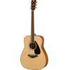 FG820 Acoustic Guitar