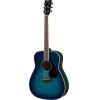 FG820 Acoustic Guitar