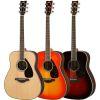 FG830 Acoustic Guitar