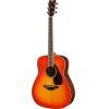 FG830 Acoustic Guitar Pack