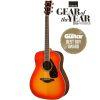 FG830 Acoustic Guitar
