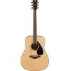 FG830 Acoustic Guitar Pack