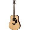 FG830 Acoustic Guitar