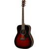 FG830 Acoustic Guitar Pack