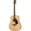 FG840 Acoustic Guitar
