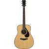 FG9 Acoustic Guitar