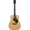 FG9 Acoustic Guitar