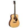 FG9 MX Acoustic Guitar