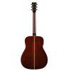 FG9 MX Acoustic Guitar
