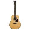 FG9 RX Acoustic Guitar
