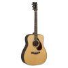 FG9 RX Acoustic Guitar