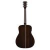 FG9 RX Acoustic Guitar