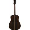 FG9R Rosewood Acoustic Guitar