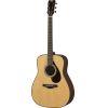 FG9R Rosewood Acoustic Guitar