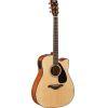 FGX800C Electro-acoustic guitar
