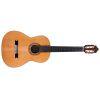 Friederich Cedar/Rosewood Acoustic Guitar