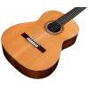Friederich Cedar/Rosewood Acoustic Guitar