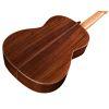 Friederich Cedar/Rosewood Acoustic Guitar