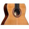 Friederich Cedar/Rosewood Acoustic Guitar