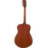 FS3 Red Label Acoustic Guitar