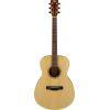 FS400 Concert Body Acoustic Guitar in Natural Satin finish