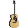 FS7 MX &amp; RX Acoustic Guitar Natural