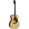 FS7 MX &amp; RX Acoustic Guitar Natural