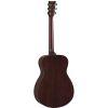 FS7 MX Acoustic Guitar Natural