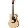 FS800 Acoustic guitar