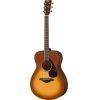 FS800 Acoustic guitar 