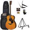 FS 800 MKII Acoustic Guitar Pack Tinted Finish 