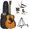 FS 800 MKII Acoustic Guitar Pack Tinted Finish 