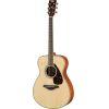 TEST FS820 Acoustic Guitar