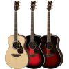 FS830 Acoustic Guitar