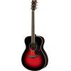 FS830 Acoustic Guitar