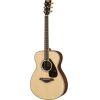 FS830 Acoustic Guitar