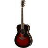 FS830 Acoustic Guitar