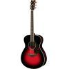 FS830 Acoustic Guitar