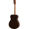 FS830 Acoustic Guitar