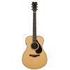 FS9 RX Acoustic Guitar