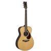 FS9 RX Acoustic Guitar