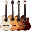 Fusion 12 Classical Guitar