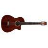 Fusion 12 Classical Guitar