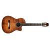 Fusion 12 Classical Guitar