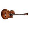 Fusion 12 Cinnamon Burst Classical Guitar