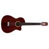 Fusion 12 Rose II Classical Guitar