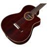 Fusion 12 Rose II Classical Guitar