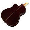 Fusion 12 Rose II Classical Guitar