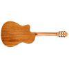 Fusion 5 Classical Guitar