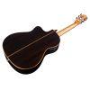 Fusion Orchestra CE CD Classical Guitar